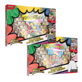 Héros Transcendants - Collection poster Premium